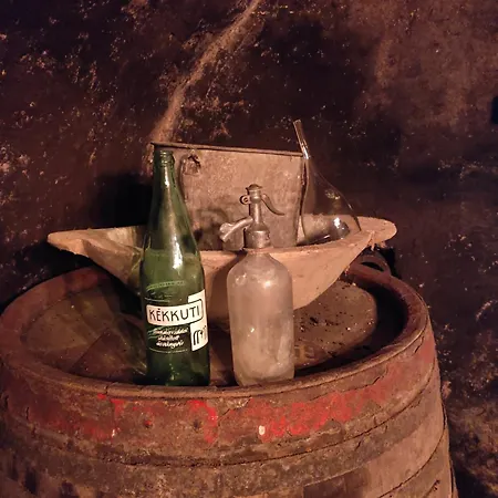 Апартаменты Kenderhordo Pihenohaz Занка